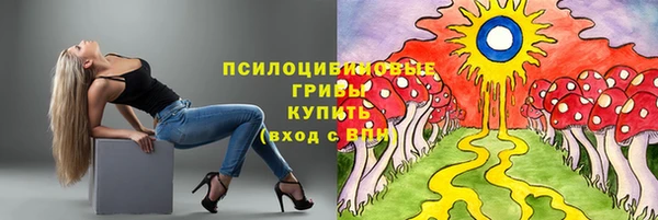 прущая мука Армянск
