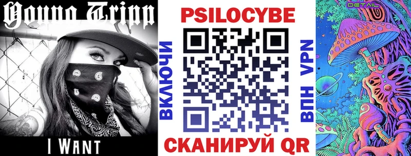 Псилоцибиновые грибы Cubensis Солнечногорск
